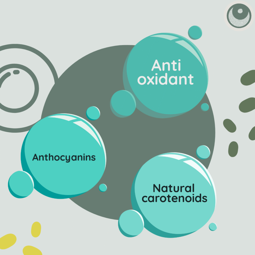 Composés Bioactifs des dattes Bou Feqqous