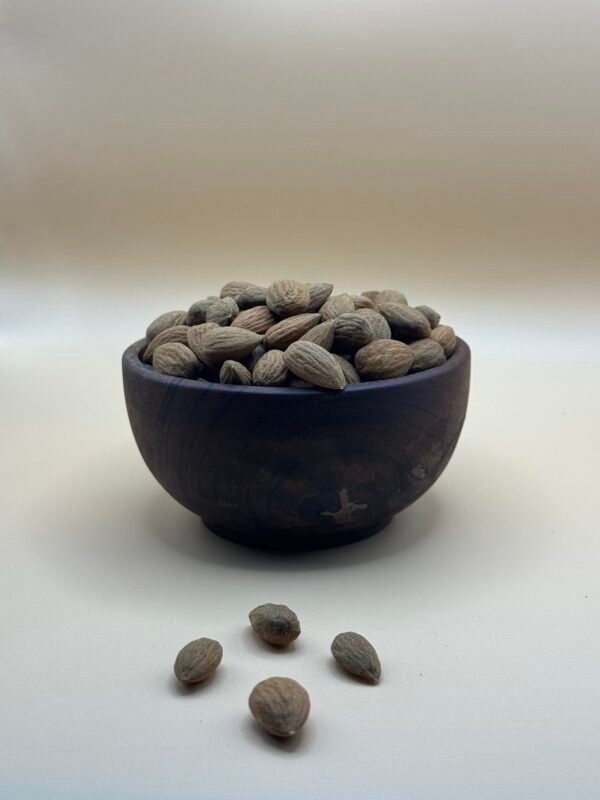 Amandes Salées – اللوز المملح