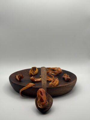 macis - (بسيبيسة ) قشرة جوزة الطيب