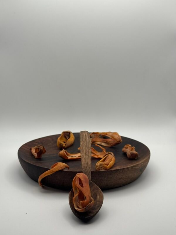 macis - (بسيبيسة ) قشرة جوزة الطيب macis - (بسيبيسة ) قشرة جوزة الطيب