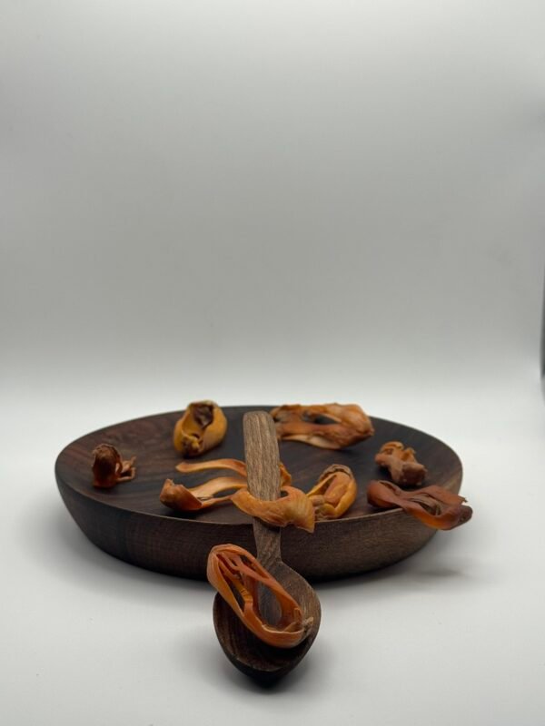 macis - (بسيبيسة ) قشرة جوزة الطيب macis - (بسيبيسة ) قشرة جوزة الطيب