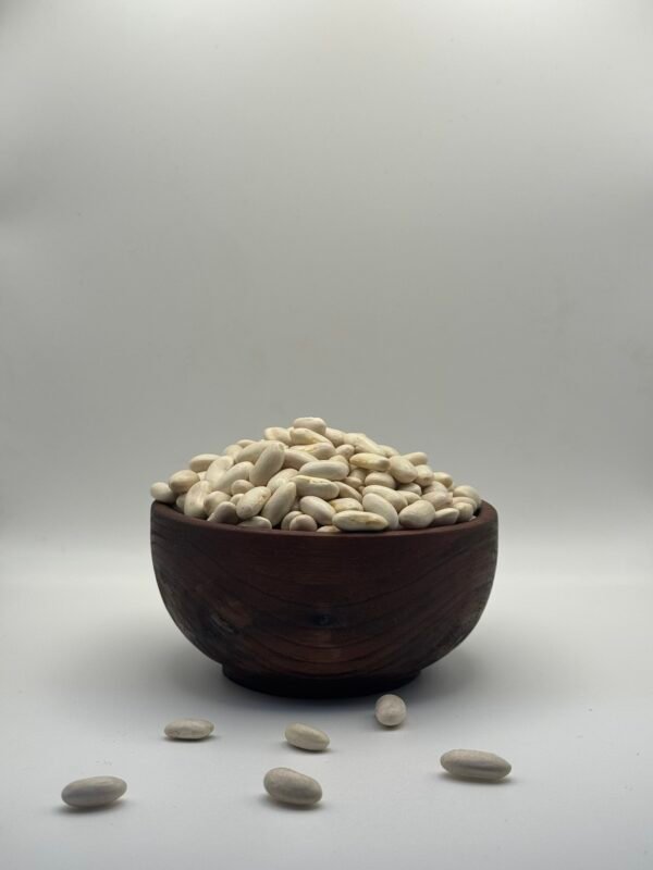 Haricots - (لوبيا) فصوليا Haricots - (لوبيا) فصوليا