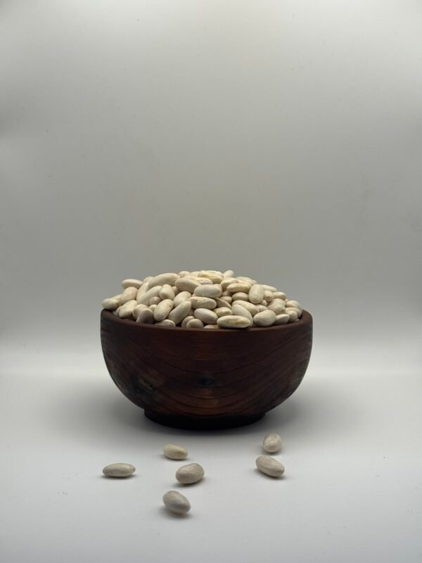 Haricots - (لوبيا) فصوليا Haricots - (لوبيا) فصوليا