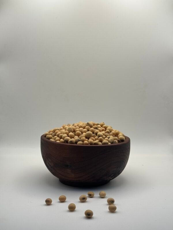 Graines de Soja - بدور الصويا (الصوجا) Graines de Soja - بدور الصويا (الصوجا)