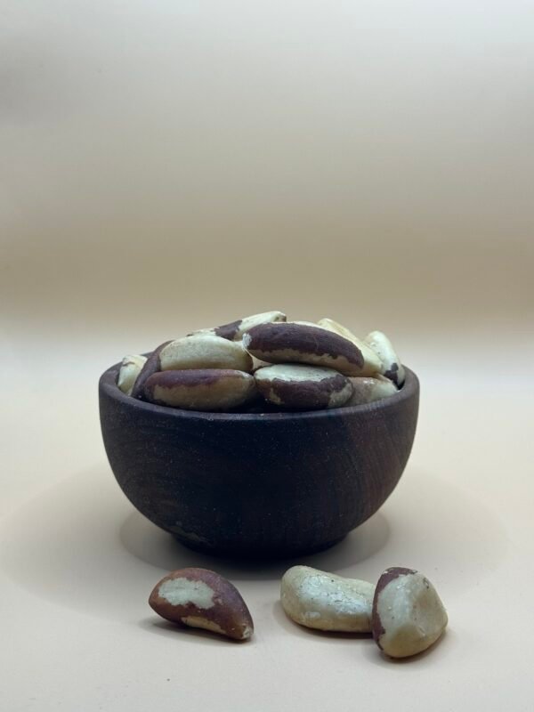 Noix du Brésil – جوز البرازيل Noix du Brésil – جوز البرازيل